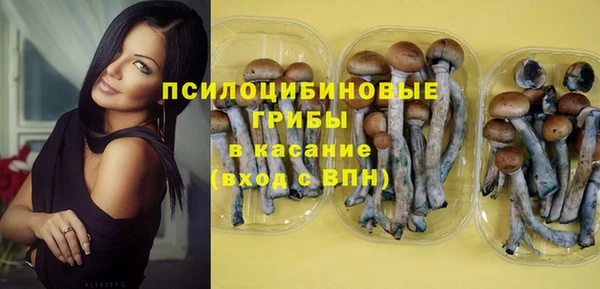 гашик Балабаново