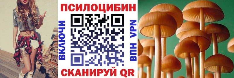 блэк спрут tor  сколько стоит  Нерчинск  Галлюциногенные грибы прущие грибы 