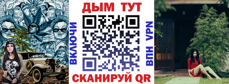 Канабис гибрид  KRAKEN ONION  Нерчинск 